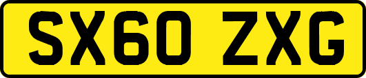 SX60ZXG
