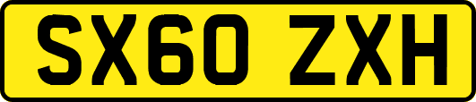 SX60ZXH
