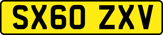 SX60ZXV