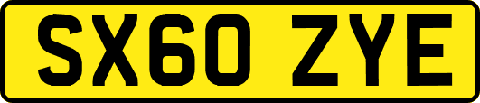 SX60ZYE