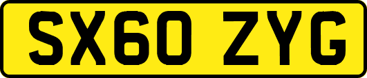 SX60ZYG
