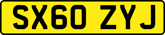 SX60ZYJ