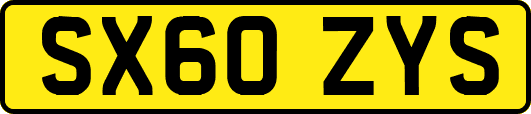 SX60ZYS