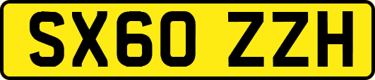 SX60ZZH