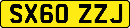 SX60ZZJ