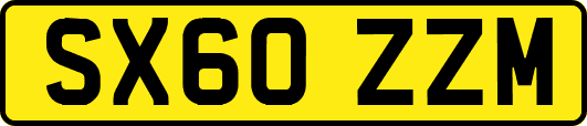 SX60ZZM