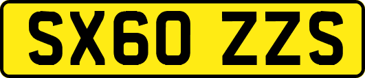 SX60ZZS