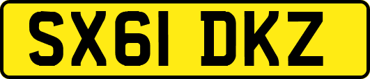 SX61DKZ