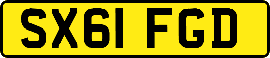 SX61FGD