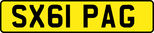 SX61PAG