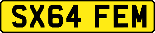 SX64FEM