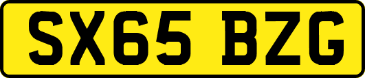 SX65BZG