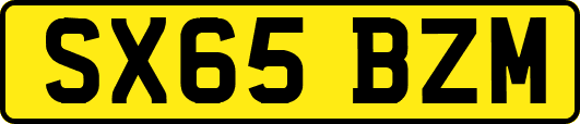 SX65BZM