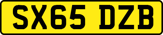 SX65DZB