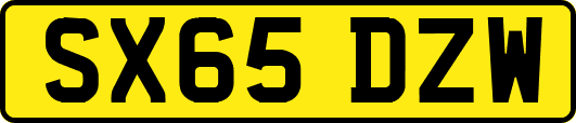SX65DZW