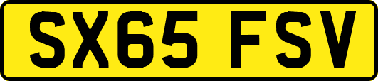 SX65FSV