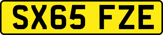 SX65FZE