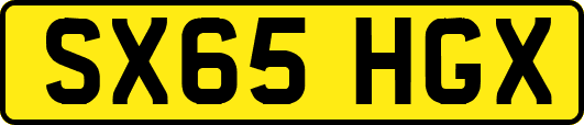 SX65HGX