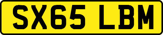 SX65LBM
