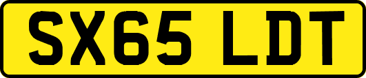 SX65LDT