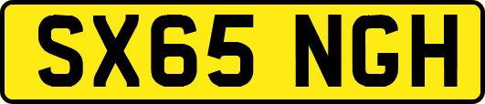 SX65NGH