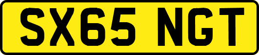 SX65NGT