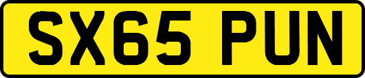 SX65PUN