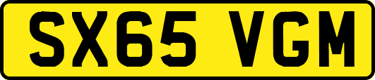 SX65VGM