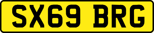SX69BRG