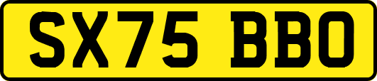 SX75BBO