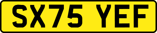 SX75YEF