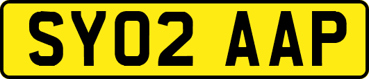 SY02AAP