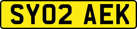 SY02AEK
