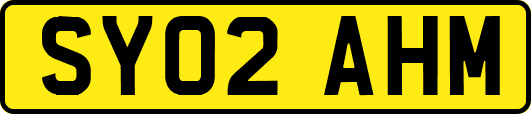 SY02AHM