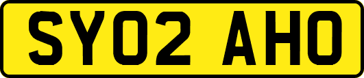 SY02AHO