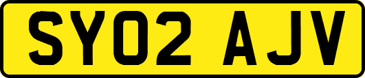 SY02AJV