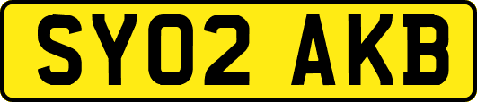 SY02AKB