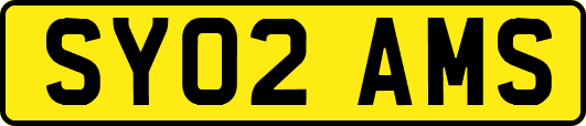 SY02AMS