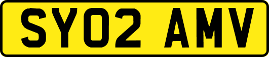 SY02AMV