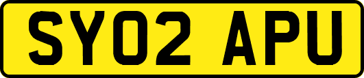 SY02APU