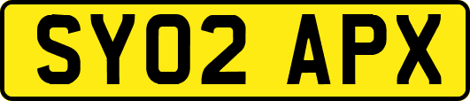 SY02APX