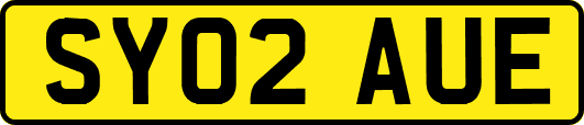 SY02AUE