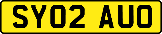 SY02AUO