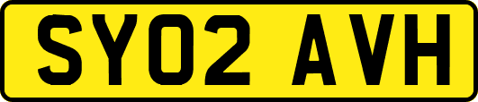 SY02AVH