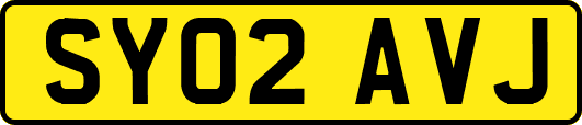SY02AVJ