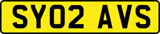 SY02AVS