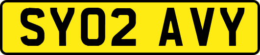 SY02AVY