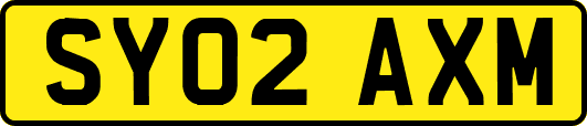 SY02AXM