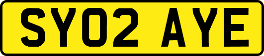 SY02AYE