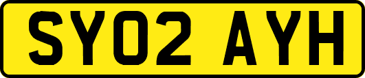 SY02AYH